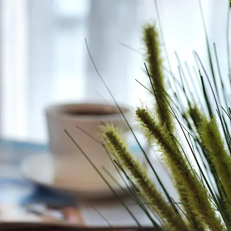 Jaff & Nisantasi 4* 伊斯坦布尔